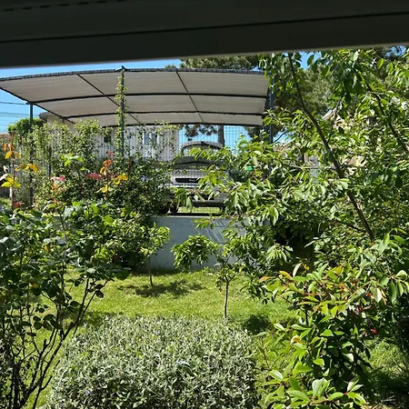 Holiday home House Bonita